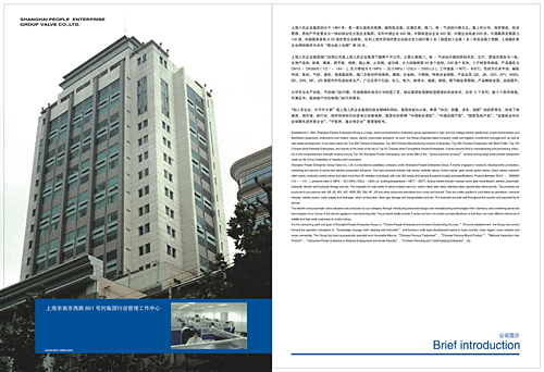 閥門畫冊設(shè)計